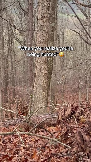 Stay Alert While Hunting: Essential Tips