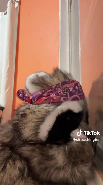 where’s my Rhiannon 💔 | rhiannon and asap