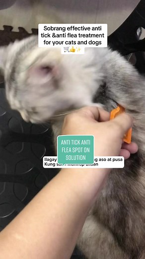 Cassiel pet anti tick and anti flea spot on solution Gamot sa garapata ng aso Gamot sa kuto ng pusa Cats and dogs Anti flea treatment Anti itching Treatment for mites cats and dogs Treatments for nematodes Treatment for parasitic diseases Avermectin spot on pour on solution #cassielpet #avermectin #antifleatreatment #cassielpetphilippines #antifleaandtick #antiflea #avermectin #dogsoftiktok #catsoftiktok #fyp #antigarapata #petsoftiktok