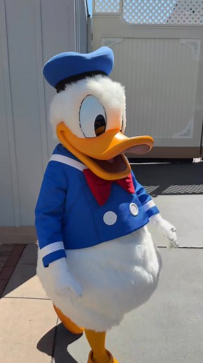 136K views · 3K reactions | The Easter Bunny & Donald Duck at Disneyland | Food At Disneyland | Facebook