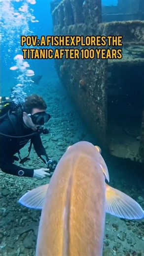 Fish POV Inside Titanic 😱 | Micro Camera Deep Sea Exploration #Shorts