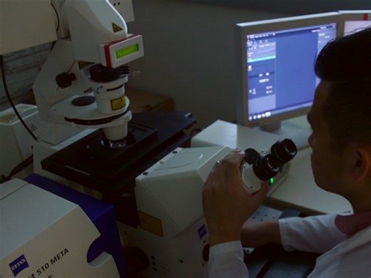 Imaging the Intracellular Trafficking of APP with Photoactivatable GFP