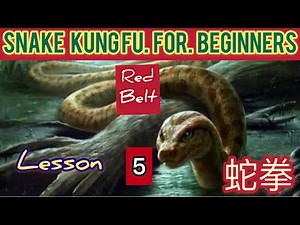 learning kung fu no matter where / snake kung fu for beginners lesson 5 / 蛇拳