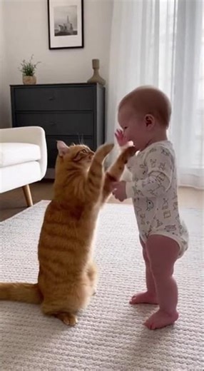 Diaper Dynamo vs. Feline Fury!