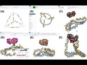 Setup a DNA-protein hybrid simulation using oxView