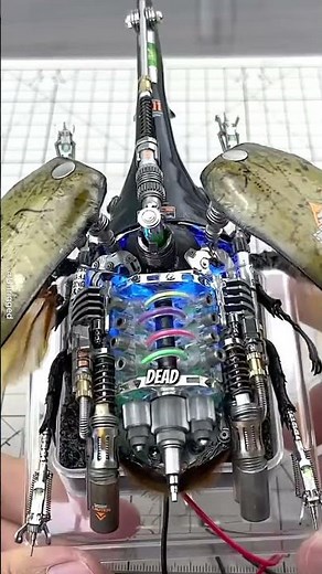 Terminator Lookin Ahh Bug #shorts