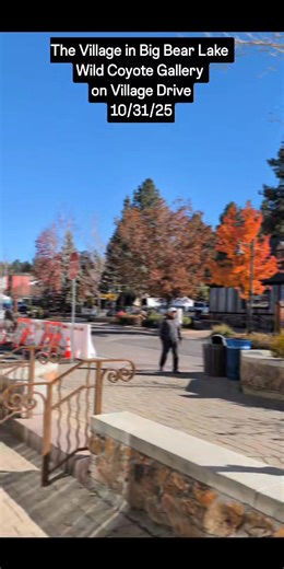 Halloween in the Village of Big Bear Lake starts at 4:00pm. It's been a wonderful day so far meeting folks from a variety of states and from other areas of California. Come on by the Wild Coyote Gallery on Village Dr if you're in town. | Big Bear Lake Bald Eagles