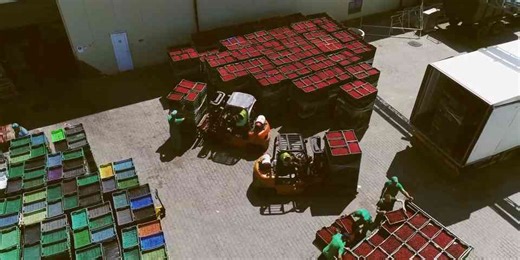 What Zomato’s Hyperpure bet means for its bottom line