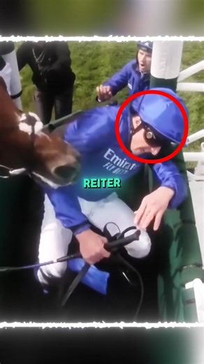 Das Pferd musste alleine weiterlaufen..😳