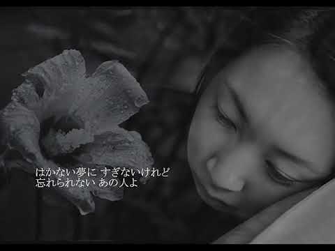 雨に咲く花/井上ひろし songｰby：新二郎 画像編集：nobu