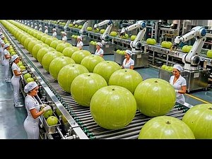 Inside a Modern Amla Factory: From Fresh Amla to Delicious Food Products (Full Process)