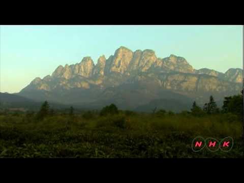 Lushan National Park (UNESCO/NHK)