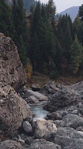 Nature, Autumn, River. Free Stock Video