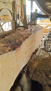 429K views · 3.2K reactions | Wood processing 漢 #TimberCraft #woodworking #sawmill #timberwork #woodcutting #carpentrylife #lumberwork #woodprocessing #diywood | TimberCraft | Facebook