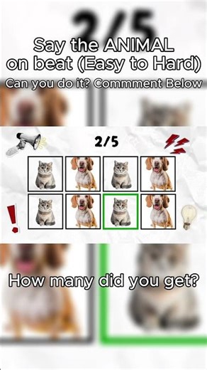 Say the animals 🐱 names to the beat 📣! did you win? 🏆