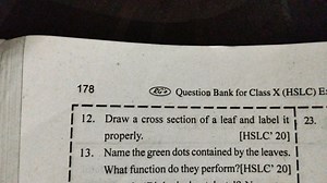 178(24) Question Bank for Class X (HSLC) E12. Draw a cross se... | Filo