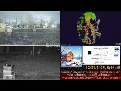 2025/12/21 Back Yard Cams - Traffic & More Sounds - Cold Bee HIves - Indianapolis, IN USA