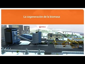 La cogeneración de la biomasa | Veolia