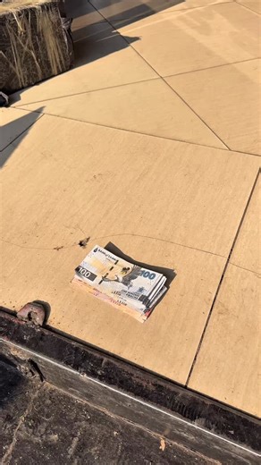 32 reactions · 5 comments |  Load up with TNT and blast through your fitness goals available now at SWZ! #supplementworldzambia #49 #swz #zambiafitness #fitness #viralvideos #viralreels | Supplement World - Zambia | Facebook