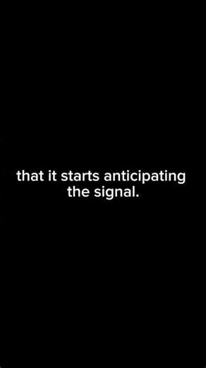 Ever felt your phone vibrate… but there was no notification?