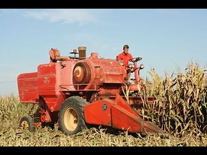 Landb. Haghedooren - Oostnieuwkerke - Massey Ferguson 400