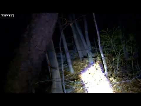 4 14 2026 Walk Into the forest surrounded by non human lights whole video no houses in site