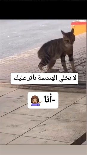 ✨Engineering FlasH ✨ on Instagram‎: "؟؟!! #trending #instagood #viral #engineering #civilengineering #engineer #abudhabi"‎