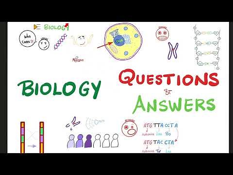 Biology Questions and Answers | Biology 🧬 Series