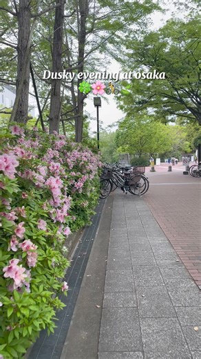 11K views · 247 reactions | #osakajapan #beautifulday #beautifuljapan #HelloJapan #vacation #japanlife #japanlove #japantime #eveninginosaka | Hello Japan | Facebook