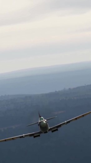 DCS | Digital Combat Sim on TikTok