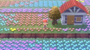 How to Evolve Geodude Without Trading It in Pokemon Brilliant Diamond - What Box Game