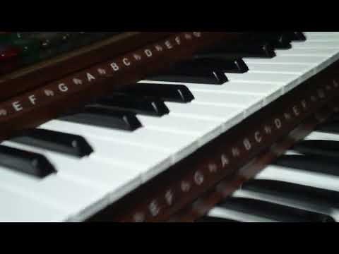 Lowrey Organ Reset (using the Stardust as example)