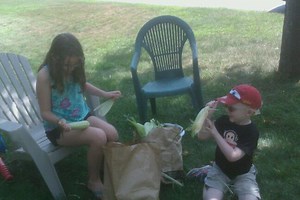 Fresh and Local Summer Produce!!