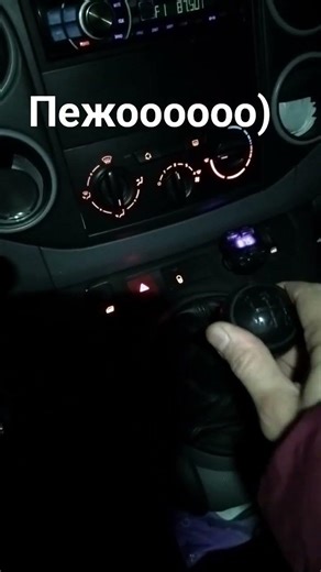 Пижо Партнер