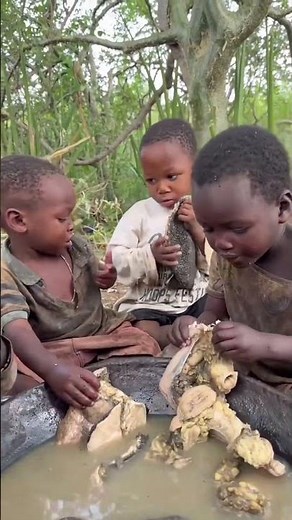 The Diet and Lifestyle of Indigenous Tribes in Africa