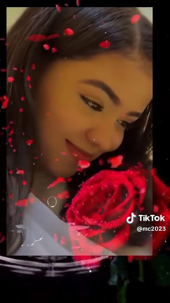 Stunning Visuals of Red Roses with Sparkling Effects
