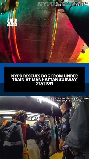 2.8K views · 84 reactions |  The NYPD got down and dirty on...