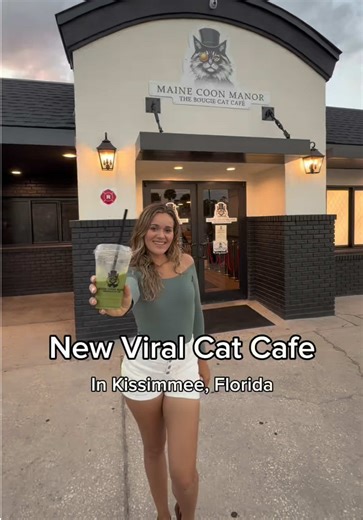 Maine Coon Manor Cat Cafe Opens in Kissimmee, Florida