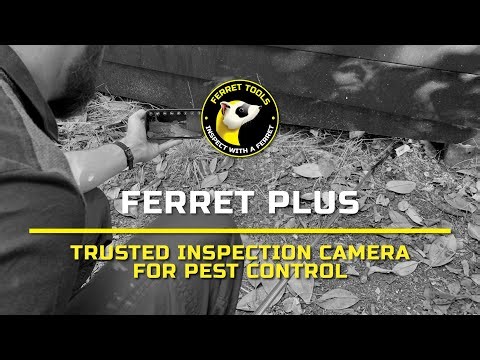 Ferret Plus Wireless Inspection Camera for Pest Control & Wildlife