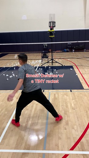 Mastering Smash Defense with a Tiny Racket