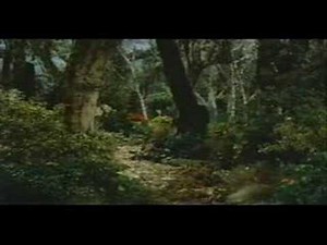 Chasing the White Rabbit