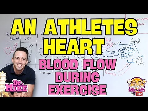 An Athletes Heart | Blood Flow During Exercise