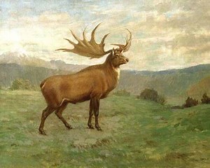 Irish elk - Alchetron, The Free Social Encyclopedia