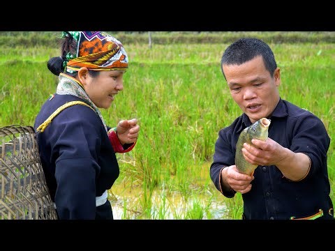 Dwarf Family Catches Fish in the Fields After the Harvest and Preserves Using Primitive Methods