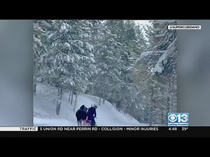 Moose attacks a man on a snowmobile