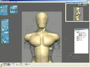 Freeform软件参考图片快速建立人体肌肉架构--深大三维科技
