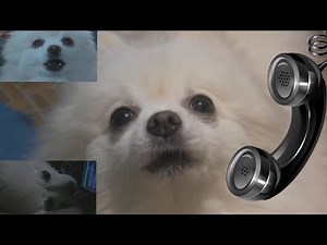 Masked Gabe vs. Phone