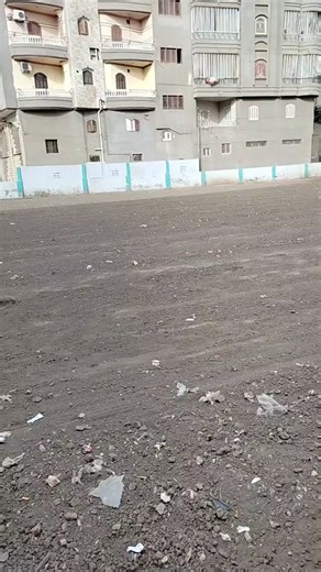 الصفحة الرسميه لمركز شباب منية مجاهد on Reels