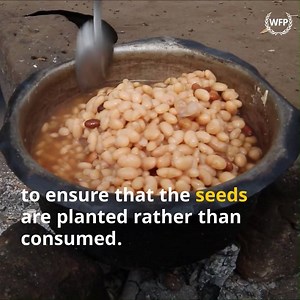 48K views · 543 reactions | Maria Rita says food has never been a problem for her family before #CycloneIdai. They used to grow tomatoes, cucumber, pumpkin, beans, maize and never ran out. A joint seed & foodFood and Agriculture Organization of the United Nations (FAO) is helping smallholder farmers in #Mozambique return to the field.  | World Food Programme | Facebook