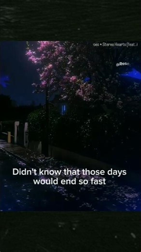 "Didn't know that those days would end so fast...🌙✨" #stereohearts #nostalgia #shorts #viral